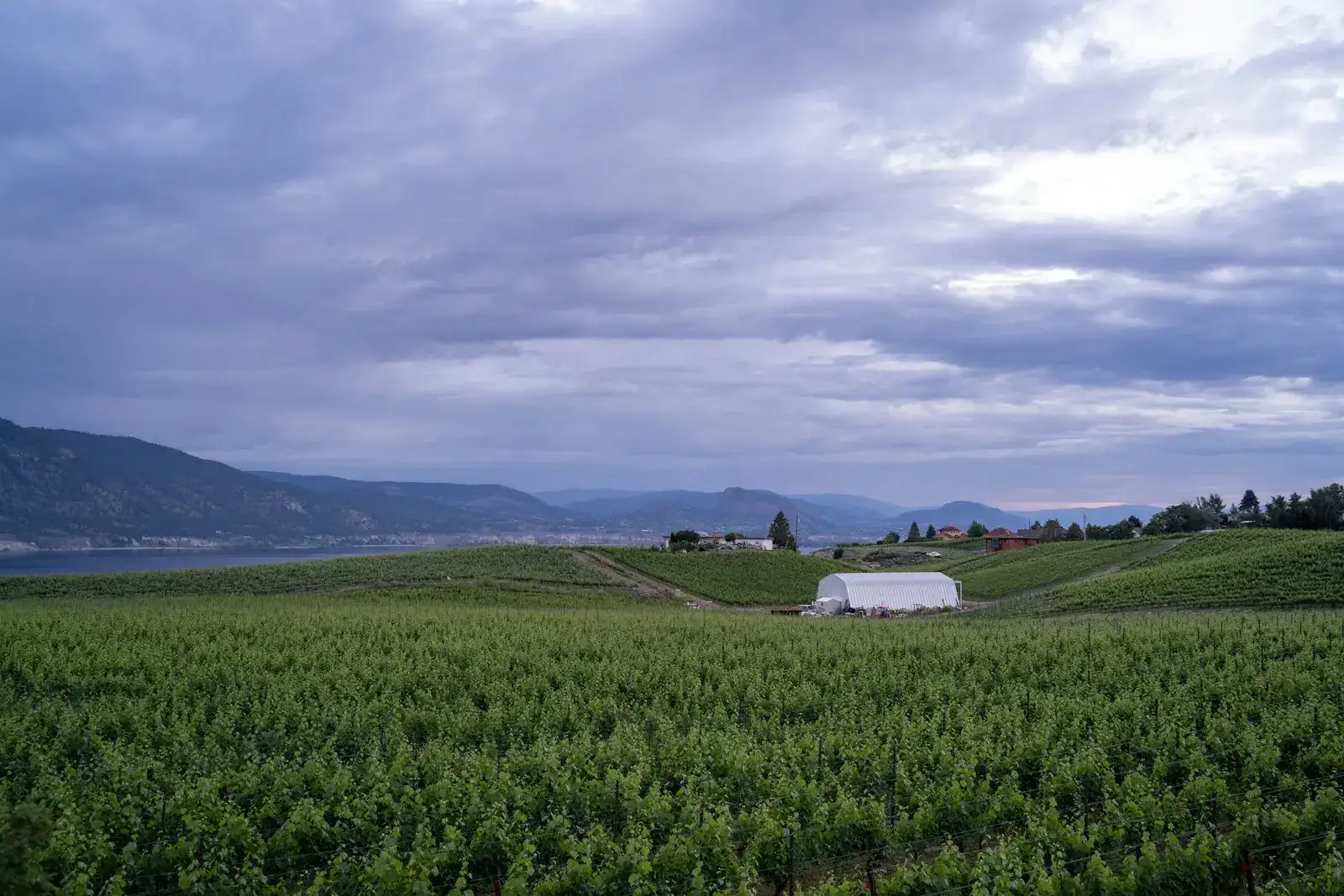 Farm field with a greenhouse and hills in the distance